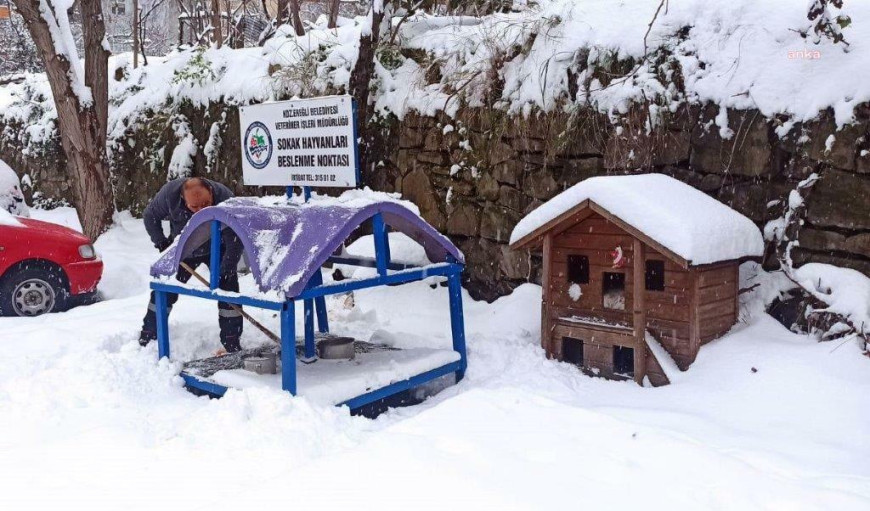 Karadeniz Ereğli Belediyesi, soğuk havada sokaktaki canları unutmuyor… Başkan Posbıyık: “Lütfen sizler de kapınızın önüne bir kap mama, su koyun”