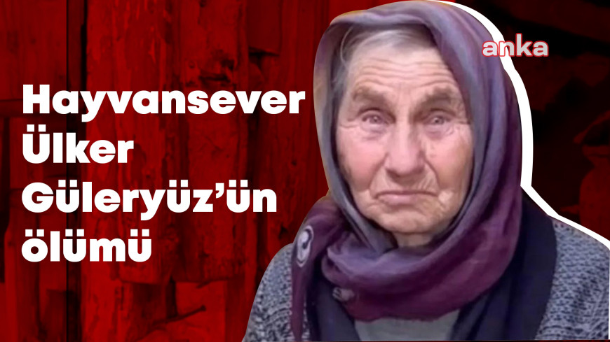 Hayvansever "Necla Teyze"nin yangında ölümüne ilişkin İtfaiye raporu soruşturma dosyasına girdi: “Yangının çıkış nedeni soba”