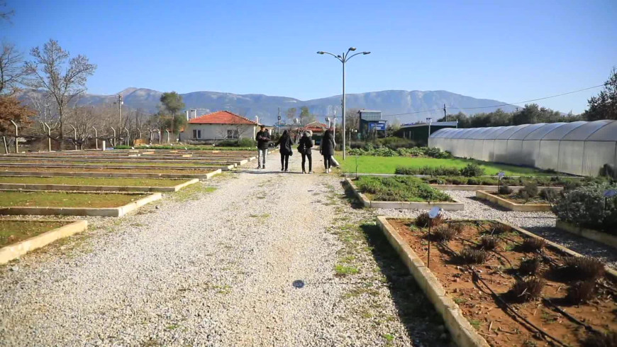 Muğla Büyükşehir Belediyesi, 2 milyon yerel tohumu toprakla buluşturacak