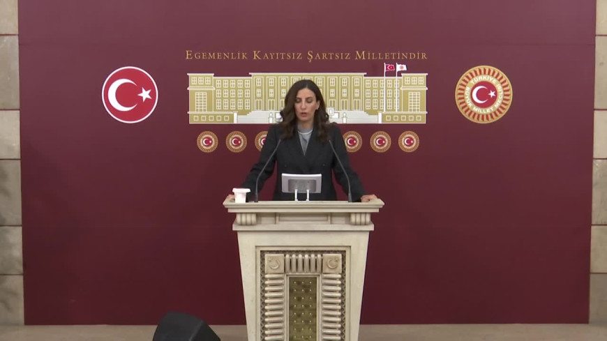 DEVA Parti'li Rızvanoğlu'ndan İklim Kanunu Teklifi'ne tepki: "Bu teklif ne ülkemizi iklim krizine karşı dirençli hale getirme potansiyeli taşıyor ne de ülkemizi küresel iklim yönetişimiyle uyumlu hale getiriyor"