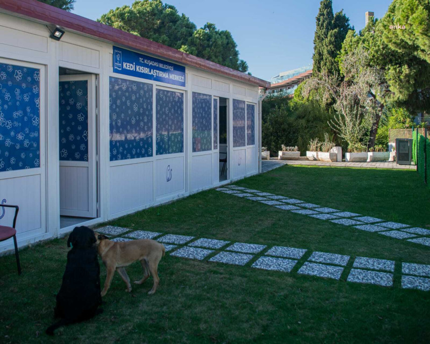 Kuşadası Belediyesi, kısırlaştırma merkezi açmak için çalışmalara başladı