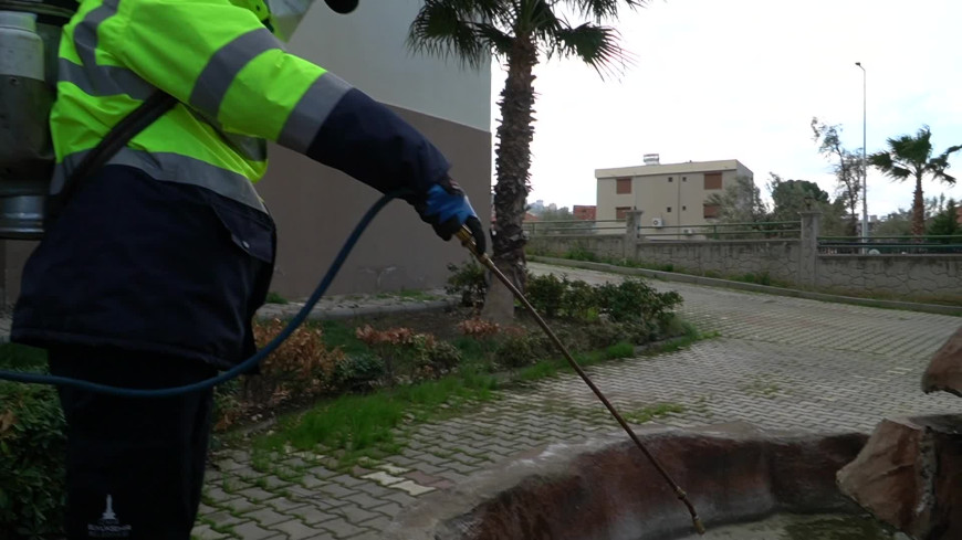 İzmir'de 300 bin noktada ilaçlama yapılıyor: Sivrisinek ve haşereyle mücadele 12 ay sürüyor 