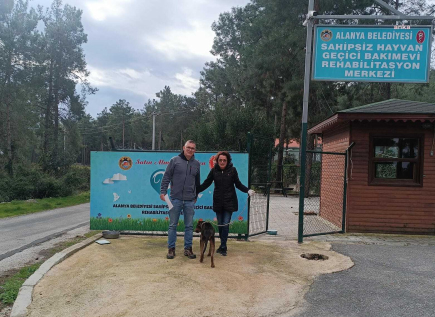 Alanya Belediyesi Veteriner İşleri Müdürlüğü, 15 günde 188 sokak hayvanını kısırlaştırdı