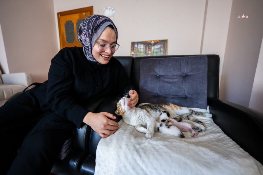 Mersin Büyükşehir Belediyesi, camiye sığınan anne kedi ve yavrularını sahiplendirdi 