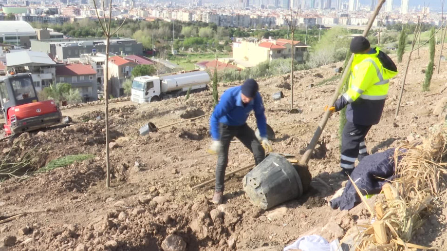 İzmir’de ağaç seferberliği sürüyor: Bornova yeni bir orman kazanıyor