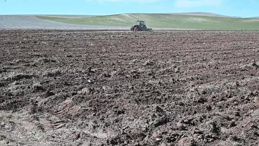 Yozgat’ta destek ödemesini alamayan çiftçi, tarlasını borçlanarak ekmeye başladı