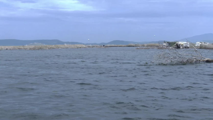 Gediz Nehri'ndeki kirlilik tarımı ve balıkçılığı bitirme noktasına getirdi..."Kurbağa bile yaşamıyor"