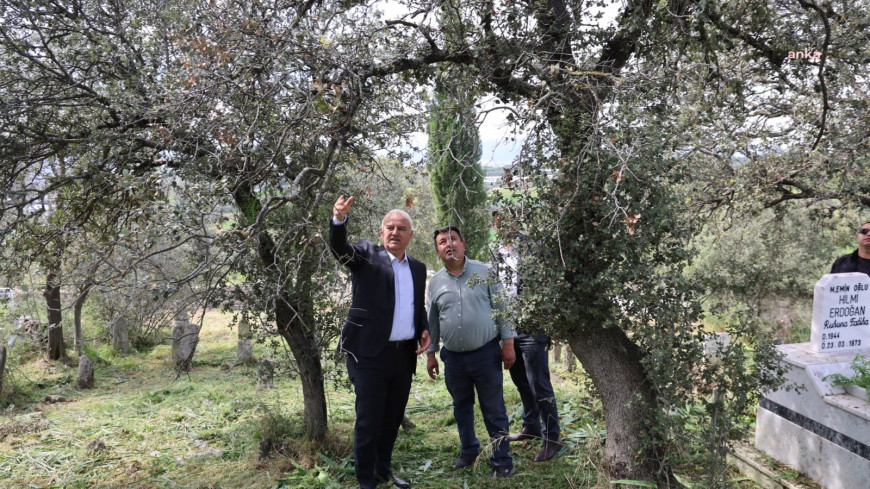 Çine Belediye Başkanı Kıvrak, Karahayıt Mahallesi’nde devam eden çalışmaları inceledi