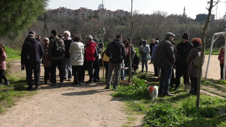 Validebağ Korusu'nda Reşit Kibar fidan dikilerek anıldı