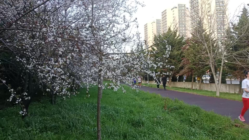 İstanbul'da bugün sıcaklık 26 derece ölçüldü... Yarın Trakya için kuvvetli yağış uyarısı yapıldı