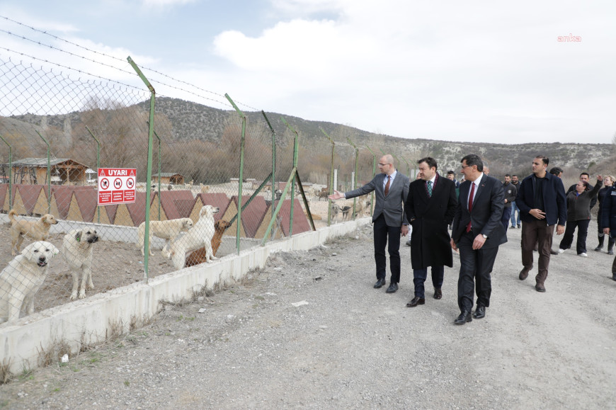 Kütahya Belediye Başkanı Kahveci, sokak hayvanları için oluşturulacak alanda incelemelerde bulundu