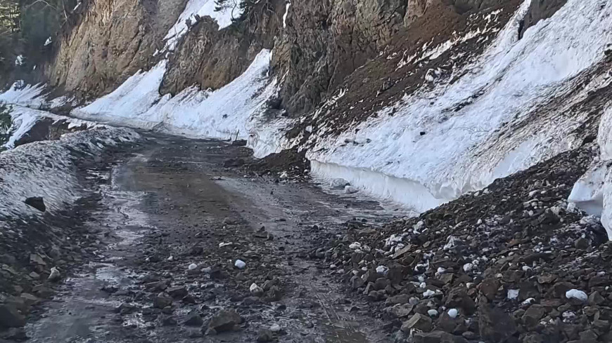 Ardanuç Muhtarlar Derneği Başkanı Yılmaz, sürekli heyelan olan bölgeden seslendi: "Can kaybı olduktan sonra mı kalıcı çözüm bulunacak?"