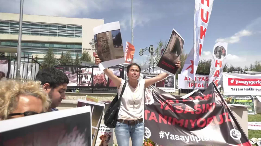 Hayvan hakları savunucuları Anayasa Mahkemesi önünde...