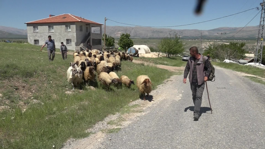 Malatya’da zorlu göç: Yaylaya geç çıkan yetiştiriciler hem yol hem geçim derdinde