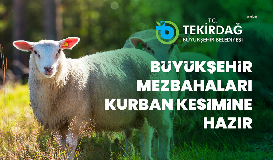 Tekirdağ Büyükşehir Belediyesi'nden Kurban Bayramı’nda kesim hizmeti