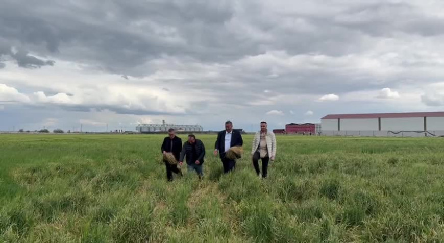 CHP’li Gürer: “Donla ilgili tablo zaman geçtikçe daha belirgin hale geliyor ve arpanın farklı bölgelerinde verim ve rekolte kaybına yol açıyor"