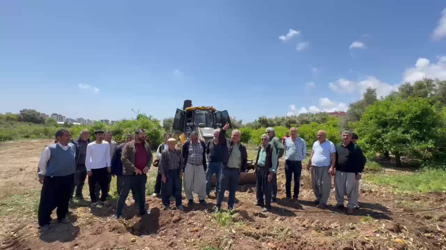 CHP'li Çakır, Mersin Davultepe'de 25 yıllık narenciye ağaçlarının kesilmesine tepki gösterdi