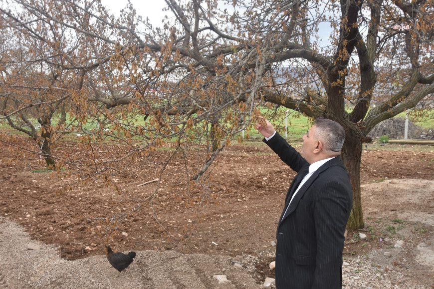 MTSO Başkanı Sadıkoğlu'ndan 'zirai don' uyarısı: “İşsizlik artacak, esnaf iflas edecek”
