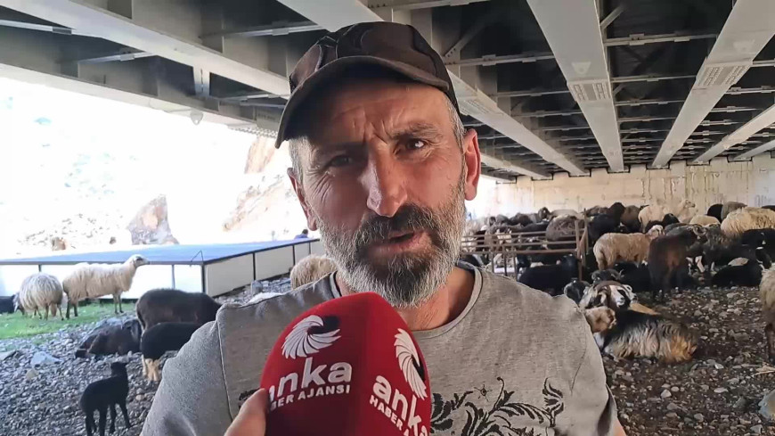 Kemalpaşalı besici: “Hayvancılık dede mesleğimizdi, ancak artık sürdüremez hale geldik"