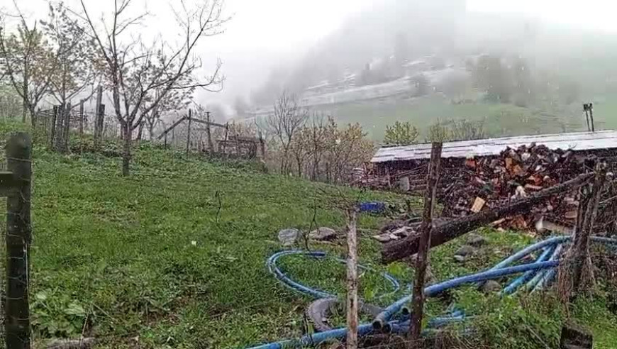 Artvin’in Ardanuç ilçesine bağlı Geçitli köyüne yağan kar, üreticiyi tedirgin etti