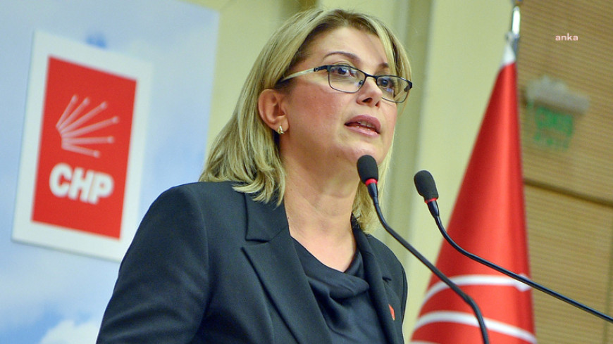 Sırrı Süreyya Önder vefat etti... CHP'li Kaya: "Bu ülkenin topraklarına barışı getirmek için verdiği mücadeleyi bu ülkenin halkı unutmayacak"