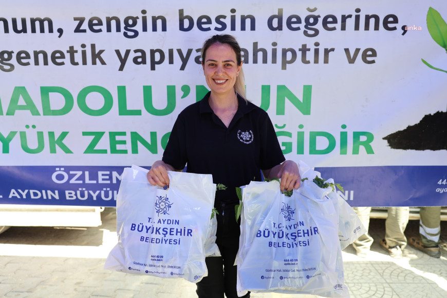 Aydın Büyükşehir Belediyesi Bozdoğan'da 25 bin fide dağıttı 
