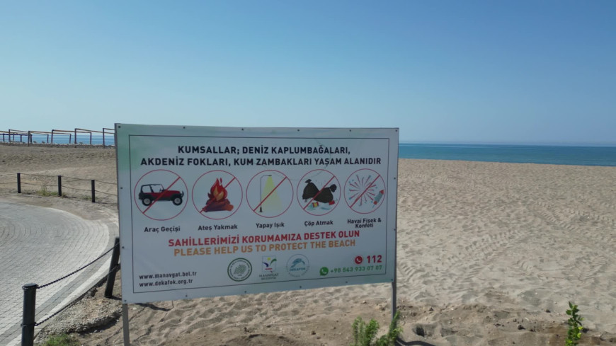 Manavgat Belediye Başkanı Kara, deniz kaplumbağaları koruma çalışmalarını inceledi