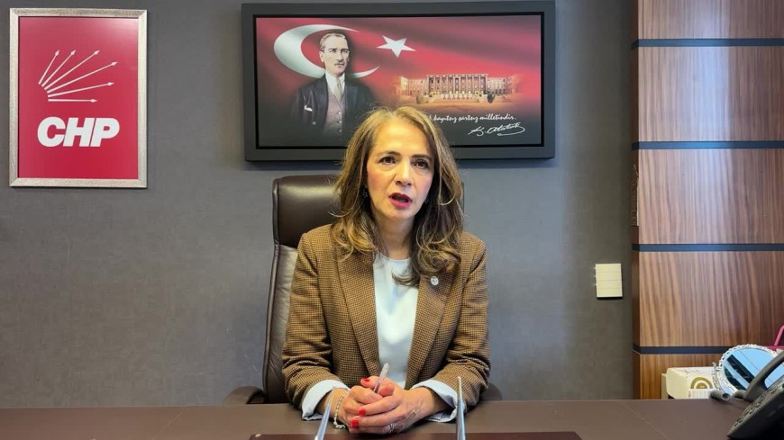 Gamze Akkuş İlgezdi: "Türkiye'de işçi artık iki hayat yaşıyor, çünkü biriyle geçinemiyor"