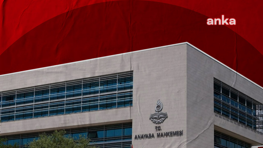 Anayasa Mahkemesi, sokak hayvanları yasasını 7 Mayıs Çarşamba günü esastan görüşecek