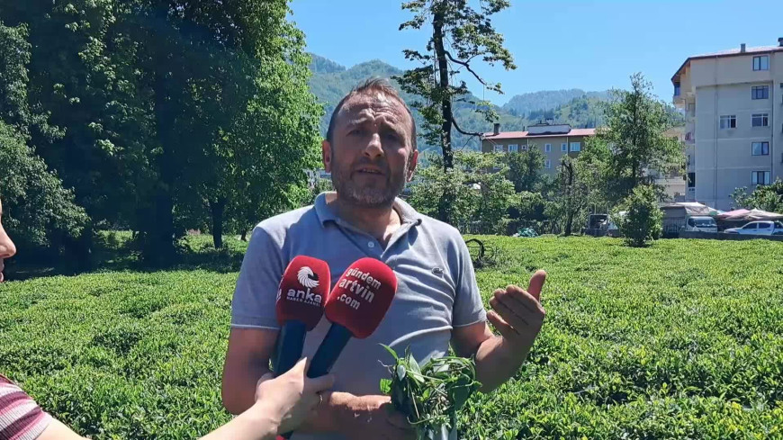 Hopa -Kemalpaşa Ziraat Odası Başkanı Muti: “Yaş çay taban fiyatının 35 lira artı 5 lira destekleme primi olarak belirlenmesini talep ediyoruz”
