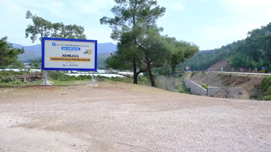 Antalya Büyükşehir Belediyesi, narenciye balını korumak için çalışma başlattı