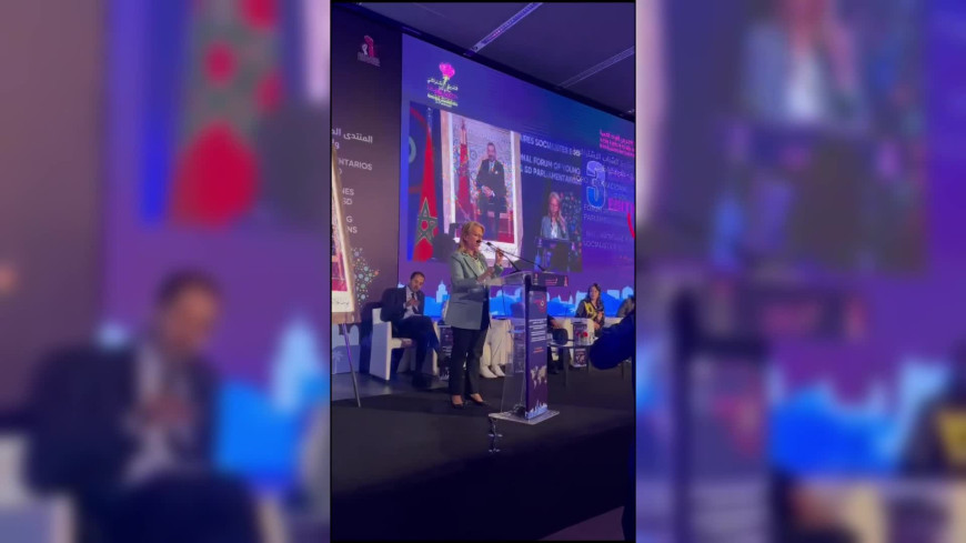 CHP heyeti Marakeş'te... Süreyya Öneş Derici: Türkiye’nin demokrasisi son dönemde tehlikededir