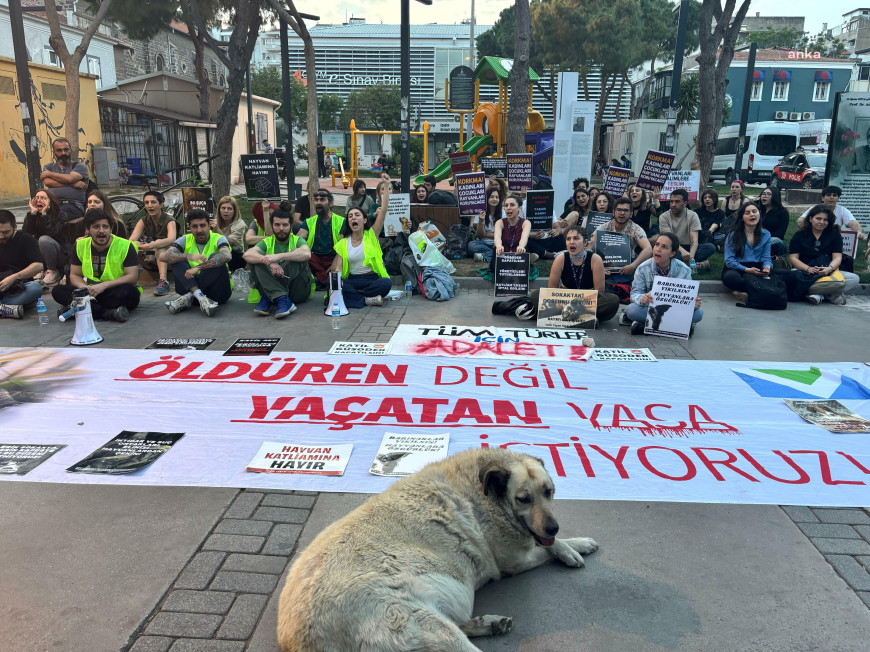 İzmir Yaşam Hakkı Savunucuları: Anayasa Mahkemesi, bugün yaşamı değil ölümü tercih etmiştir