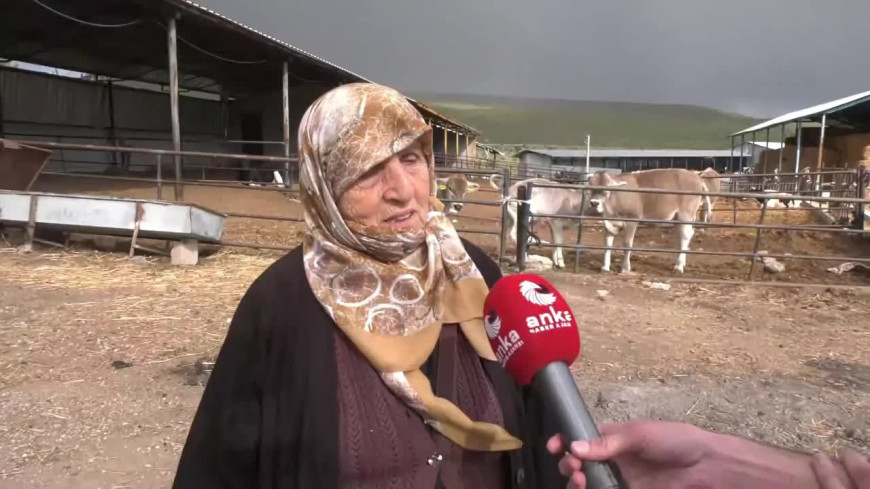 Konya’da 74 yaşında çiftçilik yapan Emine Küçükoğlu: Yem borcunu emekli maaşıyla kapatıyorum