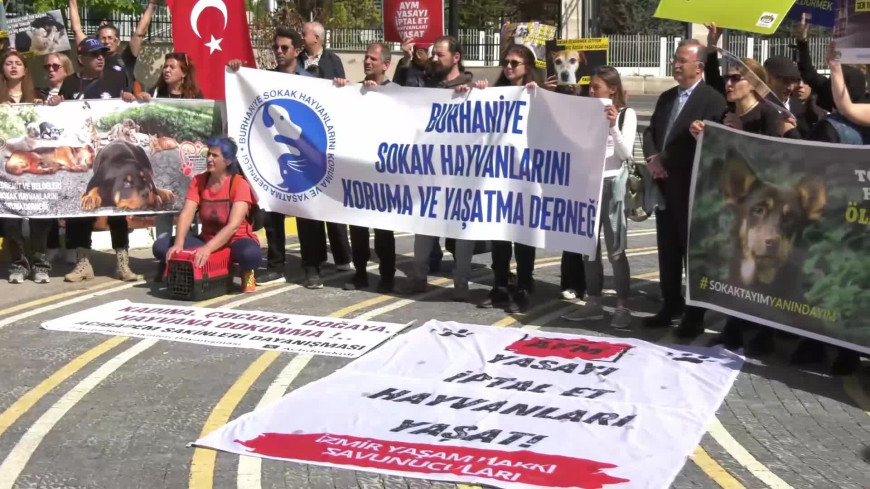 Hayvan hakları savunucuları AYM’nin önünde… DEM Partili Akın: “Türkiye'nin her tarafından hayvanlara dönük katliam girişimlerinin acısını yaşıyoruz”