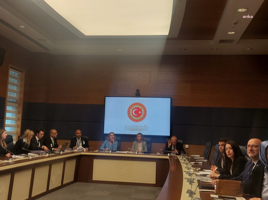 Dışişleri Bakanlığı Konsolosluk Hizmetleri Genel Müdürü Büyükelçi Erkul, TBMM Dışişleri Komisyonu’nda sunum yaptı