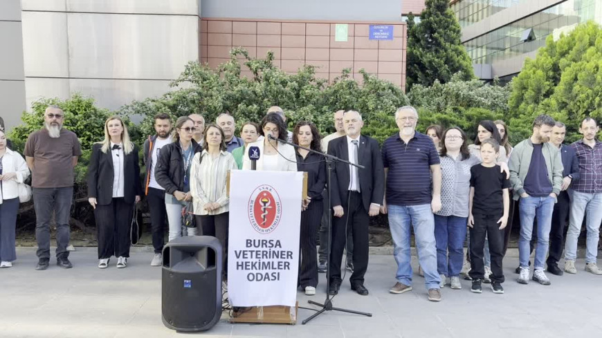 Bursa Veteriner Hekimleri Odası: Umuyoruz ki en kısa sürede gerçek suçluları ortaya çıkarıp kamuoyu ile paylaşırlar