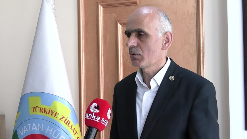 Giresun Ziraat Odası Başkanı Karan: “2025 fındık rekoltesi 500 bin tonun altında kalabilir”