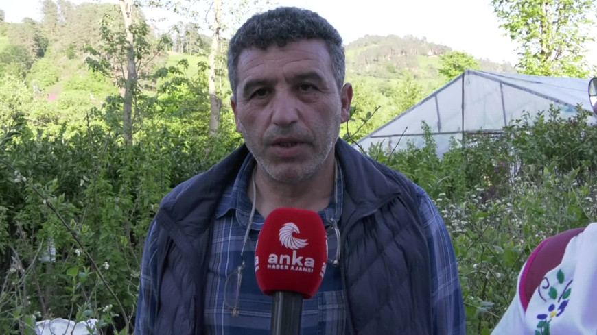Rize Fındıklı Ziraat Odası Başkanı Mehmet Özsoy: “2025 yılı yaş çay fiyatı 35 lira olmalıdır”