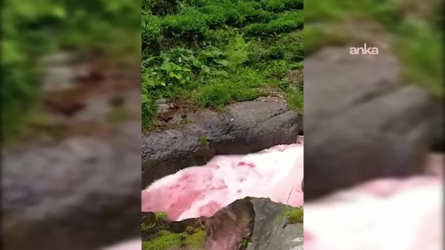 Güneysu'da rengi kırmızıya dönen dere bölge halkını endişelendirdi