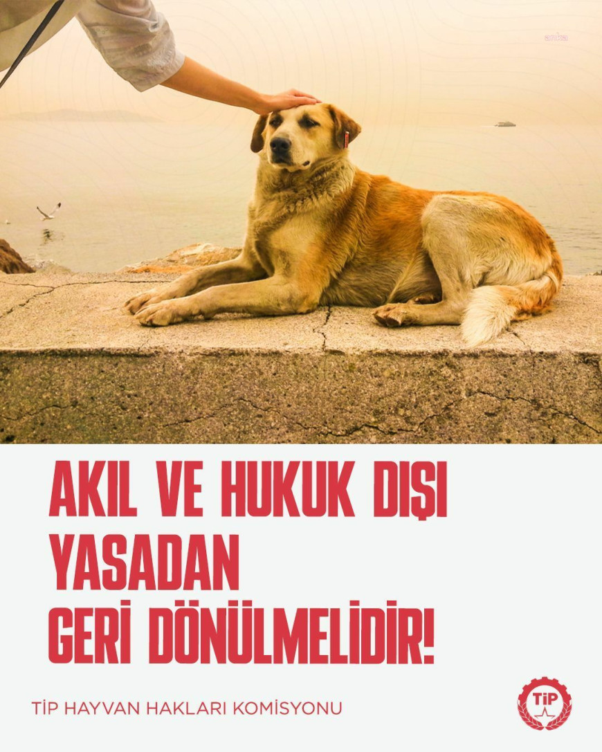 TİP Hayvan Hakları Komisyonu: "Birilerinin cebi dolacak diye Anayasa'da tanınmış yaşam hakkının ihlal edilmesi ileride kitlesel ihlallerin de önünü açacak"
