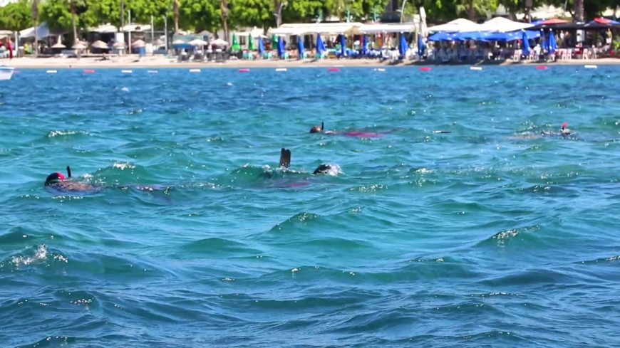 Bodrum Belediyesi'nin geleneksel deniz dibi temizliği, bu yıl Kumbahçe sahilinden başladı