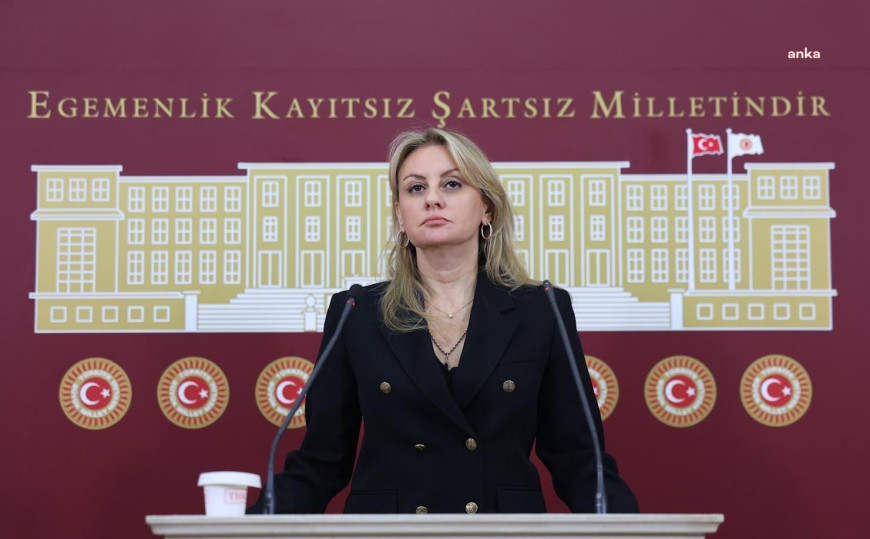 Bağımsız İzmir Milletvekili Ösen, sanayicilerin e-ithalattaki mağduriyetlerini TBMM gündemine taşıdı
