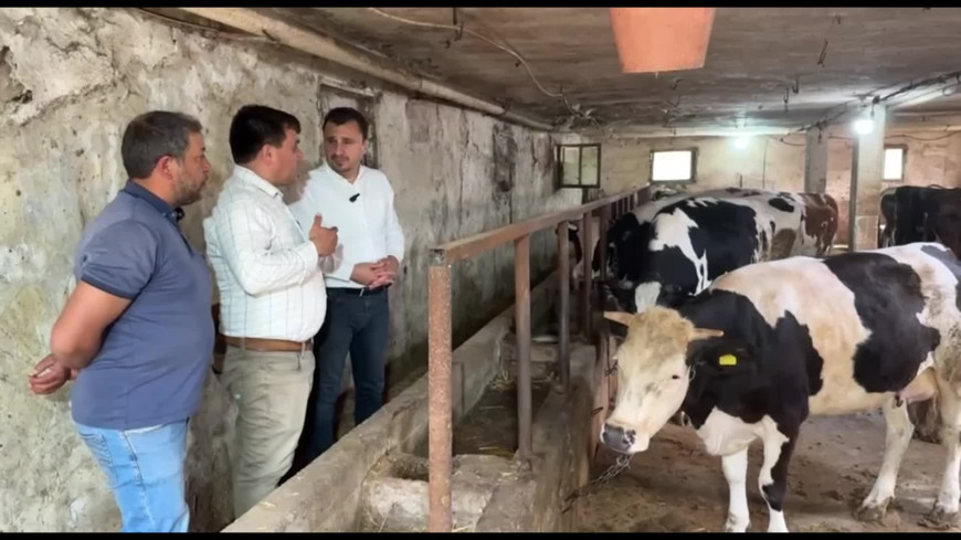 Manisalı besici CHP'li Başevirgen'e dert yandı: "Bakanın bakma gücü yok, kurban kesecek olanın kesecek gücü yok"