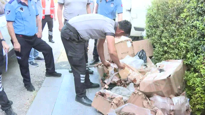 Antalya Büyükşehir Belediyesi, usulsüz şekilde taşınan 300 kilogram kerevit, 40 kilo mavi yengeç ele geçirdi 