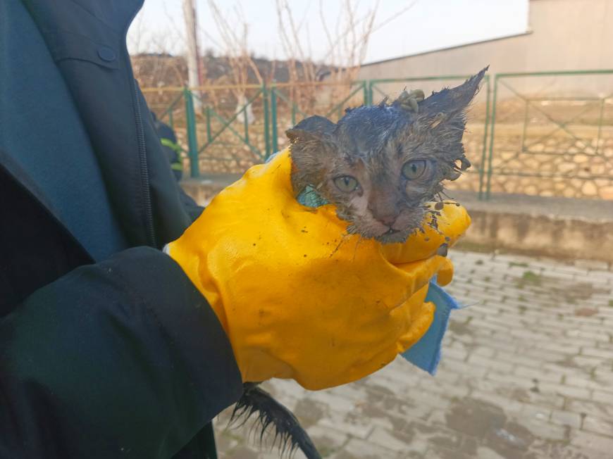 https://64k.net/media/dha_img/202502/67a076ceca2ff.jpg