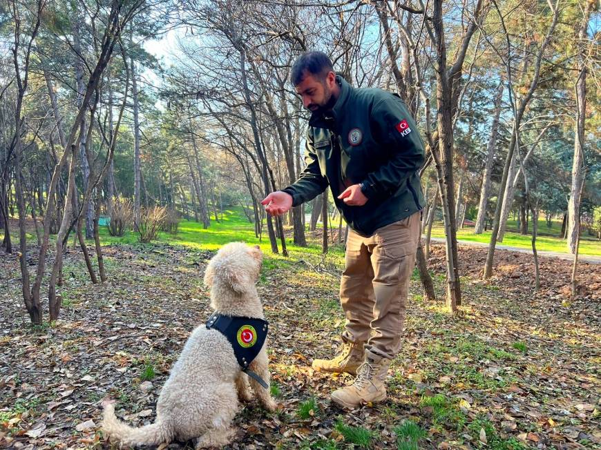 Bakanlığın dedektör köpekleriyle 1 ayda 4,1 ton uyuşturucu ele geçirildi