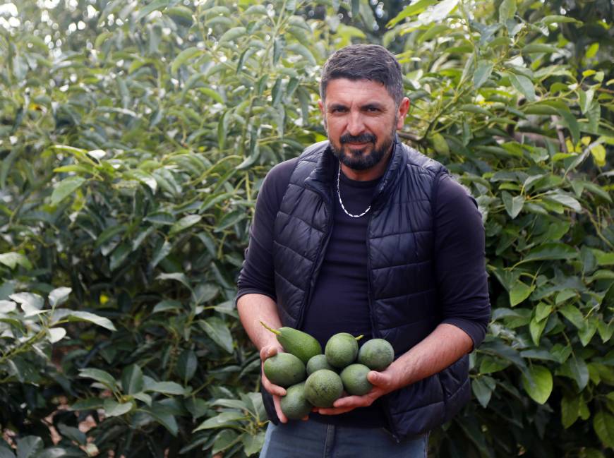 Deneme amacıyla dikildi, yılda 21 bin ton ürün alınıyor