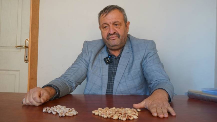 Siirt Fıstık Üreticileri Birliği'nden 'kaçak İran fıstığı' uyarısı