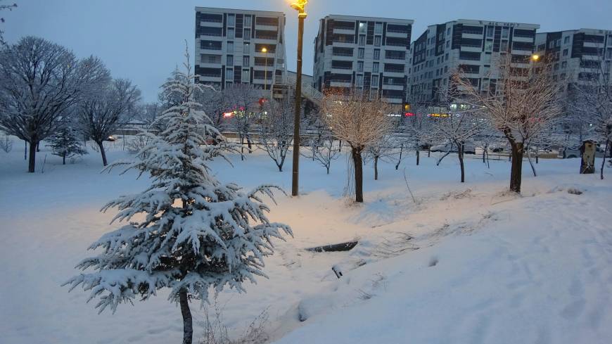 Bitlis'te kar etkili oldu